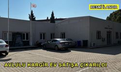 Avlulu Kargir Ev Satışa Çıkarıldı
