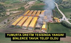 Yumurta üretim tesisinda yangın! Binlerce tavuk telef oldu