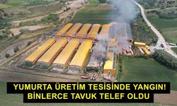 Yumurta üretim tesisinde yangın! Binlerce tavuk telef oldu