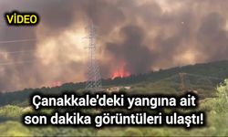 Çanakkale'deki yangına ait son dakika görüntüleri ulaştı!