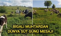 Bigalı Muhtardan Dünya Süt Günü Mesajı: Süt Bizim İçin Bir Yaşam Biçimi