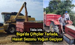Biga’da Çiftçiler Tarlada, Hasat Sezonu Yoğun Geçiyor