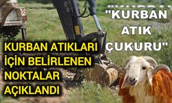 Biga’da kurban atıkları nereye atılacak?