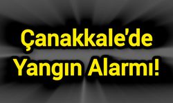 Çanakkale’de bir yangın daha başladı!