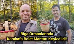 Biga Ormanlarında Karakafa Bolet Mantarı Keşfedildi!