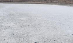 Suyu buharlaşan gölün tuz tabakası ortaya çıktı