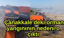 Çanakkale'deki orman yangınının nedeni o çıktı (Video)