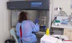 Yapay zeka kanserin erken teşhis ve tedavisinde önemli rol oynuyor