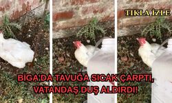 Çanakkale Biga’da tavuğa sıcak çarptı, vatandaş duş aldırdı!