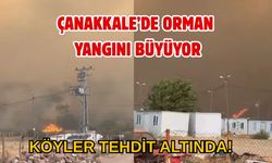 Çanakkale’de Orman Yangını Büyüyor: Köyler Tehdit Altında!