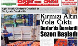 Çanakkale Biga'nın Sesi Gazetesi 9 Temmuz 2025 Çarşamba