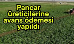 Pancar üreticilerine avans ödemesi yapıldı