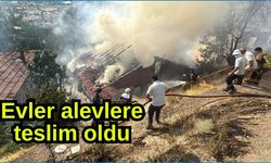 Evler alevlere teslim oldu