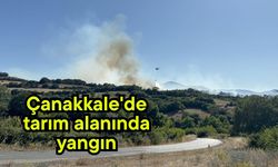 Çanakkale’de tarım alanında yaygın