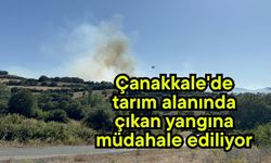 Çanakkale'de tarım alanında çıkan yangına müdahale ediliyor