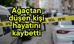 Ağaçtan düşen kişi hayatını kaybetti