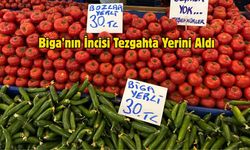 Bozlar Domatesi Pazarda Görücüye Çıktı