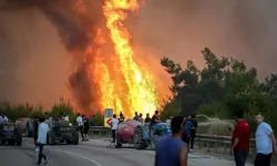 Bursa'daki orman yangınına müdahale 5. gününde sürüyor