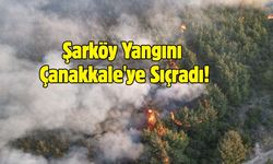 Tekirdağ'da çıkan orman yangını Çanakkale'ye sıçradı