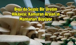 Biga’da Sessiz Bir Üretim Hikâyesi: Kamuran Arslan’ın Mantarları Büyüyor