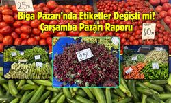 Biga Çarşamba Pazarı'nda Yaz Bereketi Fiyatlara Yansıdı