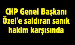 CHP Genel Başkanı Özel'e saldıran sanık hakim karşısında