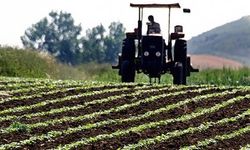 Çiftçilere yaklaşık 345 milyon lira tarımsal destekleme ödemesi yapılacak