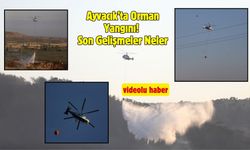Ayvacık’ta Orman Yangını! Son Gelişmeler Neler?