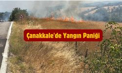 SON DAKİKA: Çanakkale'de Yangın Paniği