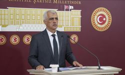 Gergerlioğlu, PKK'nın 11 Temmuz'da silah bırakacağını söyledi