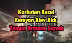Korkutan Kaza! Kamyon Alev Aldı, Yangın Ormana Sıçradı
