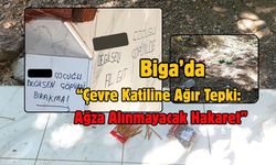 Biga’da Taşoluk barajı doğasına ihanet!