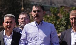 Bakan Kurum'dan orman yangınlarındaki hasar tespit çalışmalarıyla ilgili açıklama