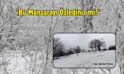 "Bu Manzarayı Özlediniz mi?"