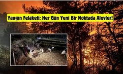 Ormanlık alanda çıkan yangına müdahale ediliyor