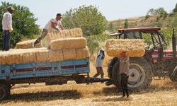 Balya işçileri kavurucu sıcakta mesai yapıyor