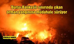 Bursa-Balıkesir sınırında çıkan orman yangınına müdahale sürüyor