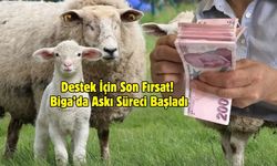 Destek İçin Son Fırsat! Biga’da Askı Süreci Başladı