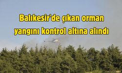 Balıkesir'de çıkan orman yangını kontrol altına alındı