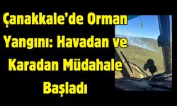 Çanakkale'de Orman Yangını
