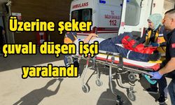Üzerine şeker çuvalı düşen işçi yaralandı
