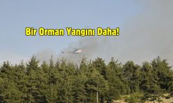 Balıkesir'de çıkan orman yangınına müdahale ediliyor