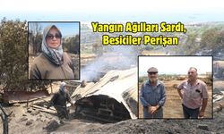 Yangın Ağılları Sardı, Besiciler Perişan