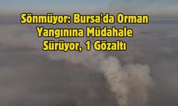 Sönmüyor: Bursa'da Orman Yangınına Müdahale Sürüyor, 1 Gözaltı