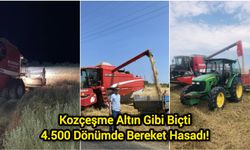 Kozçeşme Altın Gibi Biçti: 4.500 Dönümde Bereket Hasadı!