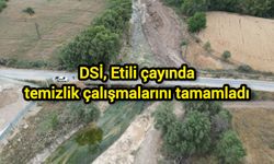 DSİ, Etili çayında temizlik çalışmalarını tamamladı
