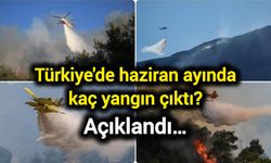 Türkiye'de haziran ayında kaç yangın çıktı? Açıklandı…