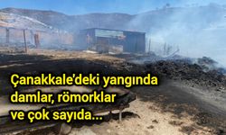 Çanakkale'deki yangında damlar, römorklar ve çok sayıda...