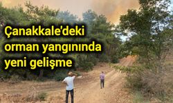 Çanakkale'deki orman yangınında yeni gelişme