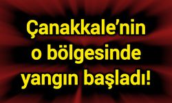 Çanakkale’nin o bölgesinde yangın başladı!